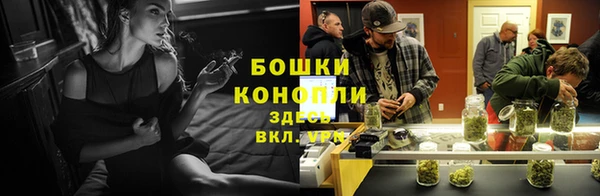 прущие грибы Баксан