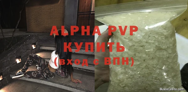 прущие грибы Баксан