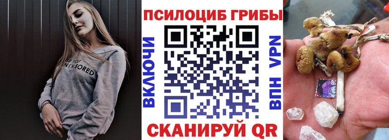 Псилоцибиновые грибы прущие грибы  гидра ссылка  Кяхта  купить наркотики цена 